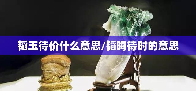 韬玉待价什么意思/韬晦待时的意思