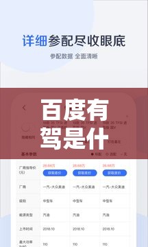 百度有驾是什么（百度有驾是什么平台）