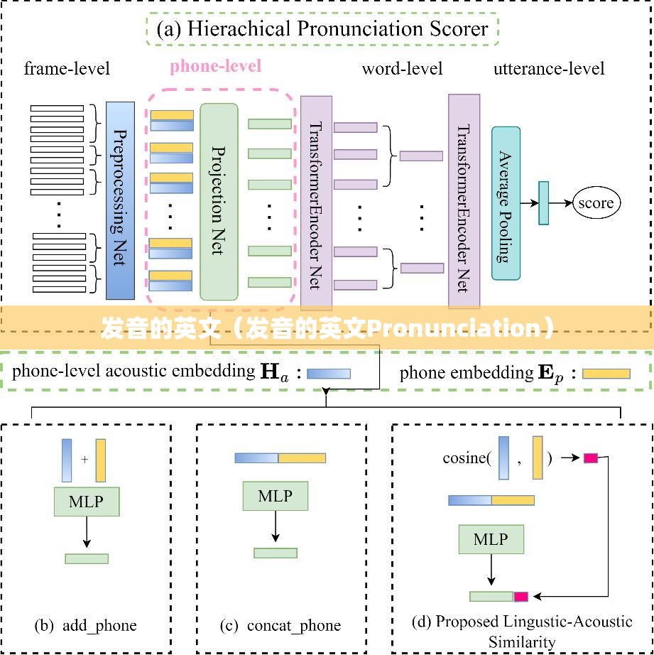 发音的英文（发音的英文Pronunciation）