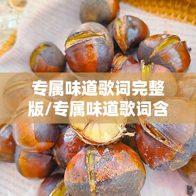 专属味道歌词完整版/专属味道歌词含义