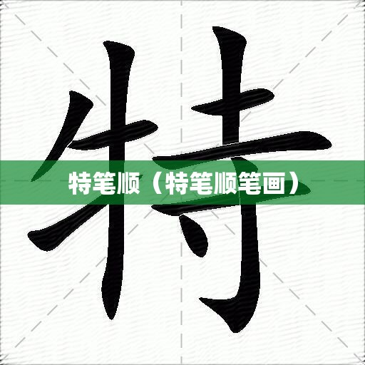 特笔顺（特笔顺笔画）
