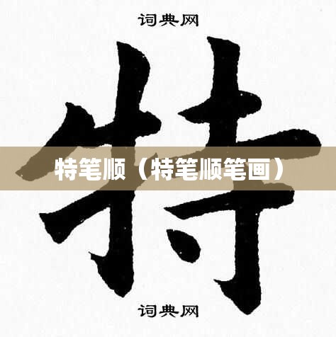 特笔顺（特笔顺笔画）
