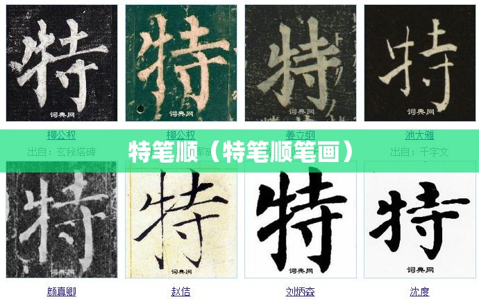 特笔顺（特笔顺笔画）