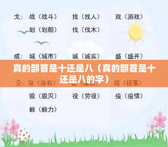 真的部首是十还是八（真的部首是十还是八的字）