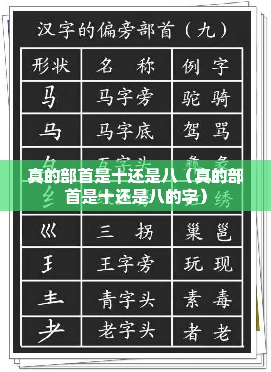 真的部首是十还是八（真的部首是十还是八的字）