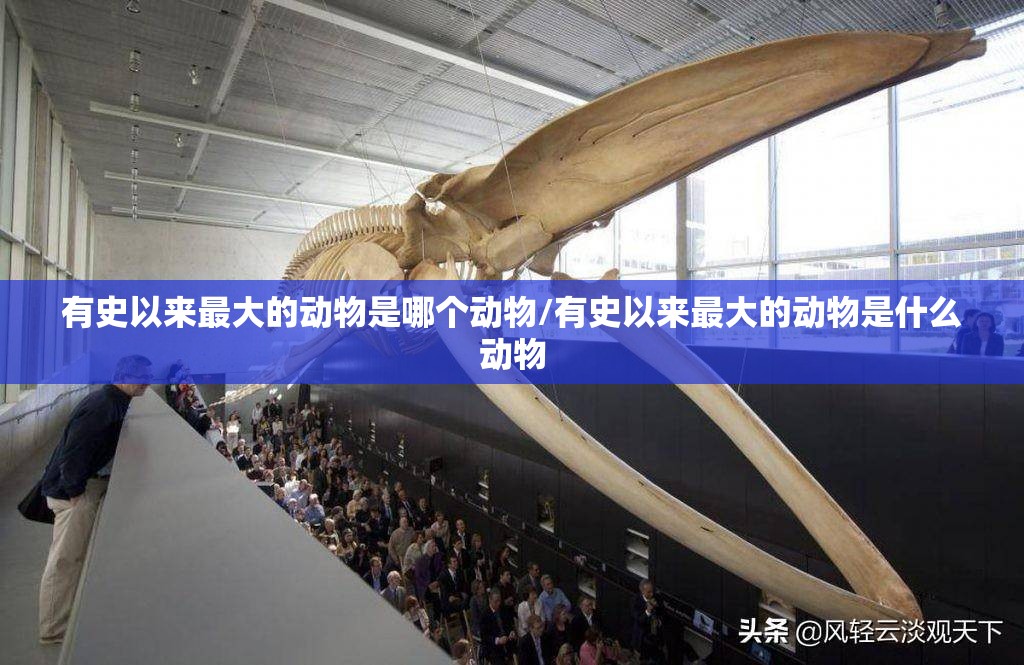 有史以来最大的动物是哪个动物/有史以来最大的动物是什么动物