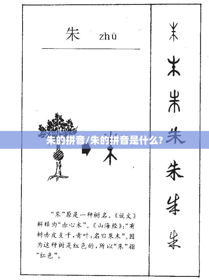 朱的拼音/朱的拼音是什么?