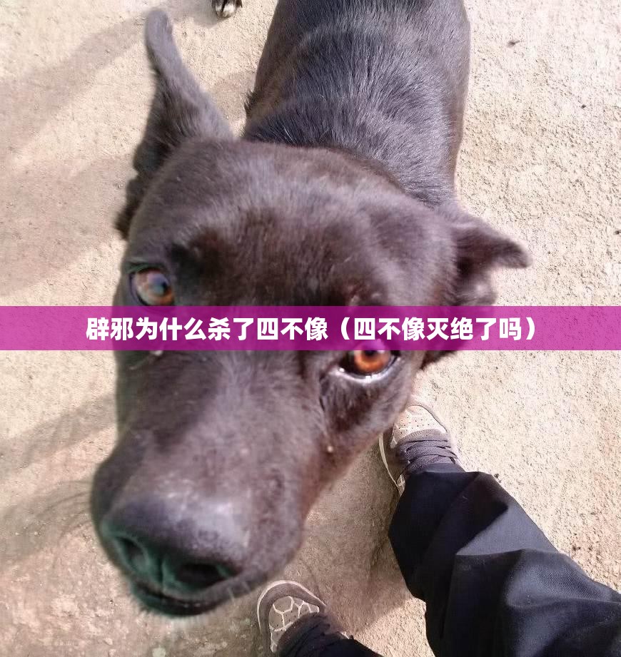 辟邪为什么杀了四不像（四不像灭绝了吗）