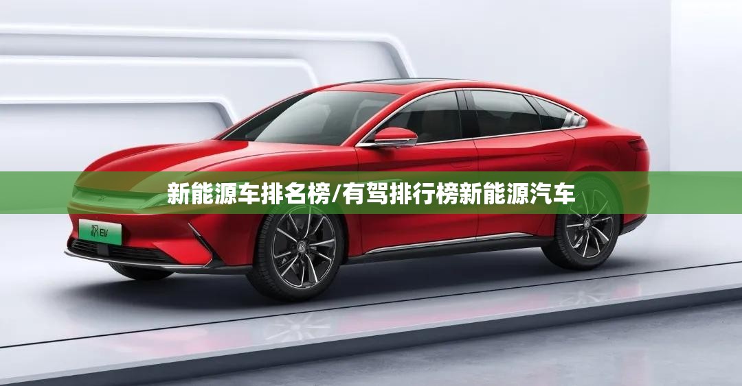新能源车排名榜/有驾排行榜新能源汽车