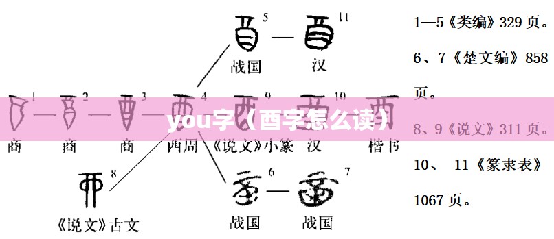 you字（酉字怎么读）