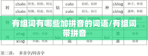 有组词有哪些加拼音的词语/有组词带拼音