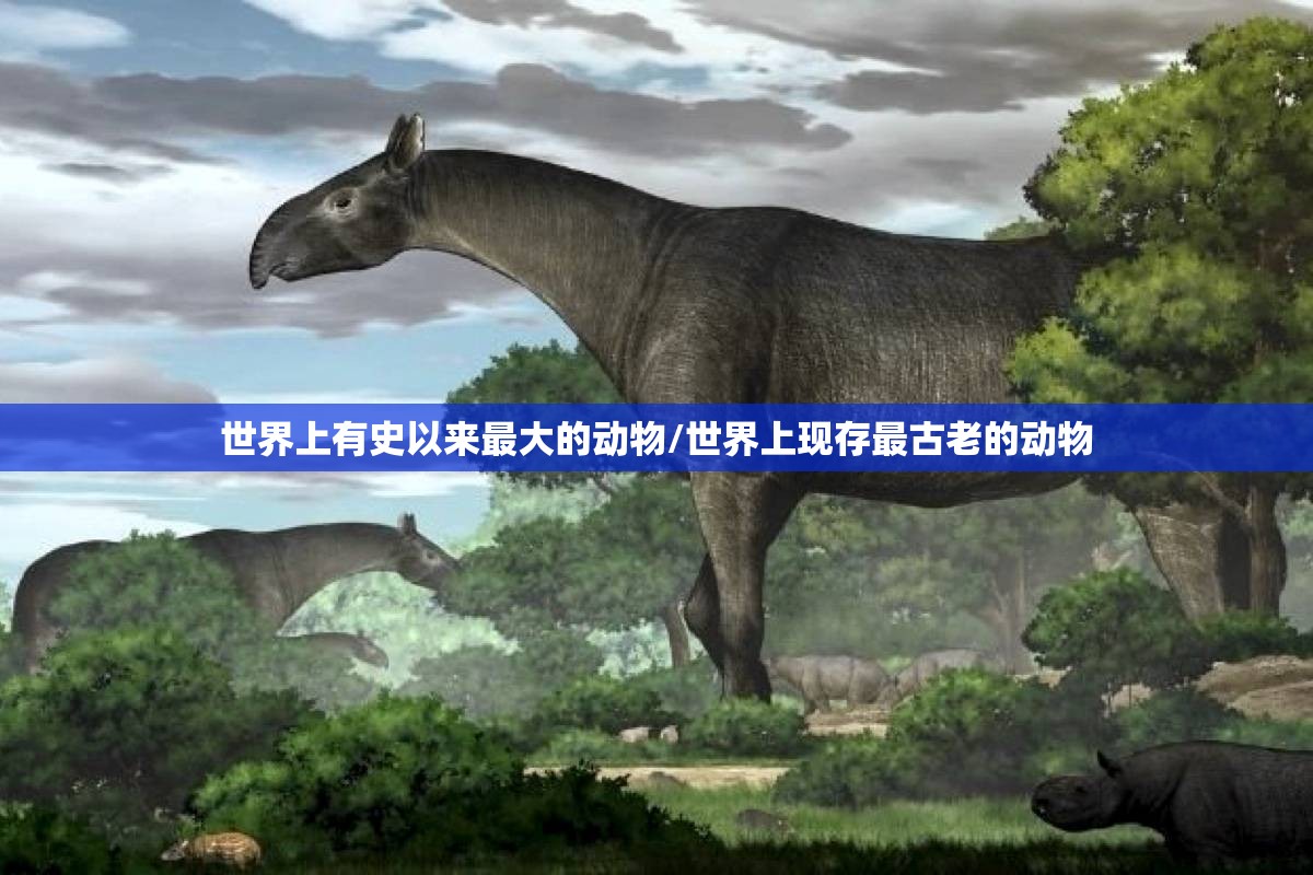 世界上有史以来最大的动物/世界上现存最古老的动物