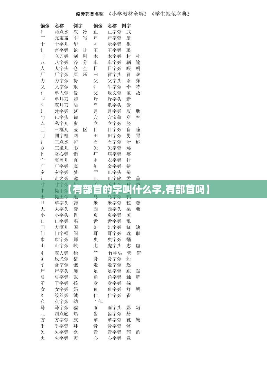 【有部首的字叫什么字,有部首吗】