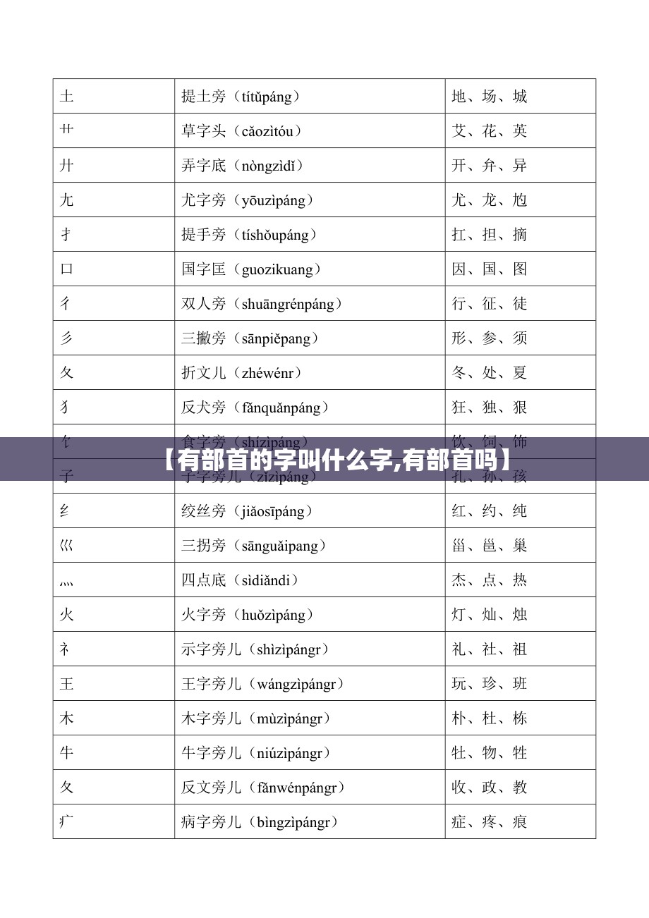 【有部首的字叫什么字,有部首吗】