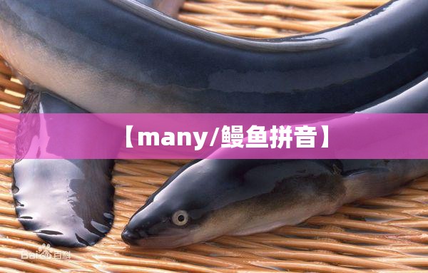 【many/鳗鱼拼音】
