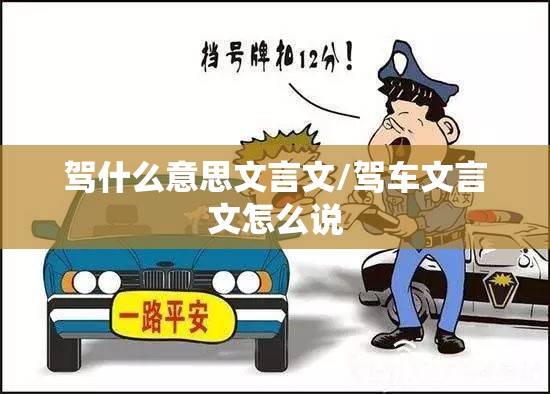 驾什么意思文言文/驾车文言文怎么说
