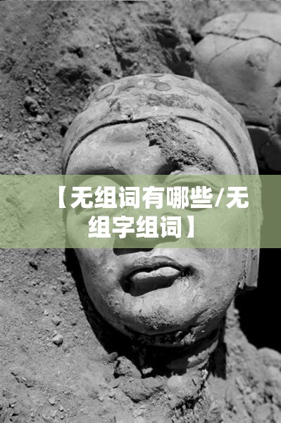 【无组词有哪些/无组字组词】