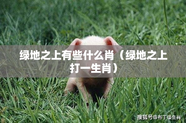 绿地之上有些什么肖（绿地之上打一生肖）