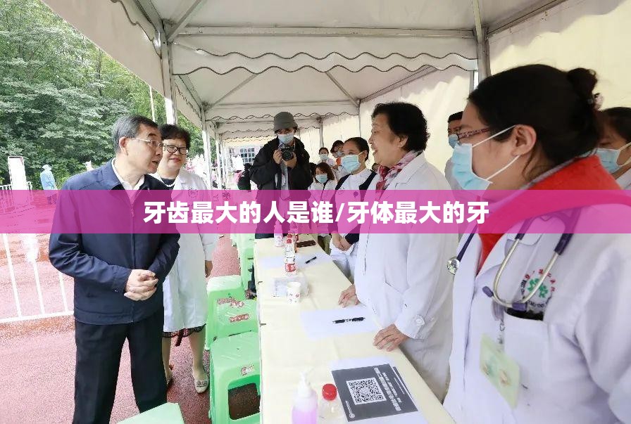 牙齿最大的人是谁/牙体最大的牙