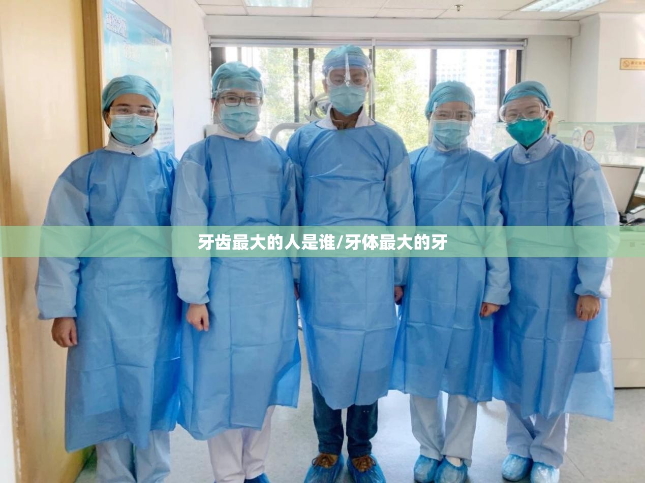 牙齿最大的人是谁/牙体最大的牙