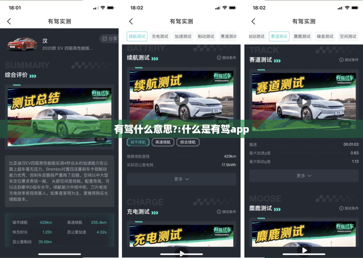 有驾什么意思?:什么是有驾app