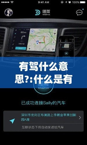 有驾什么意思?:什么是有驾app