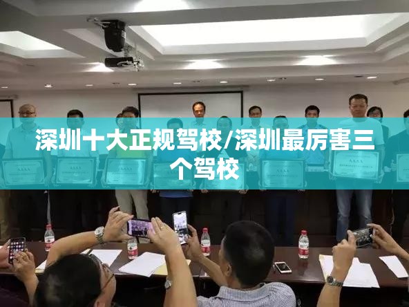深圳十大正规驾校/深圳最厉害三个驾校