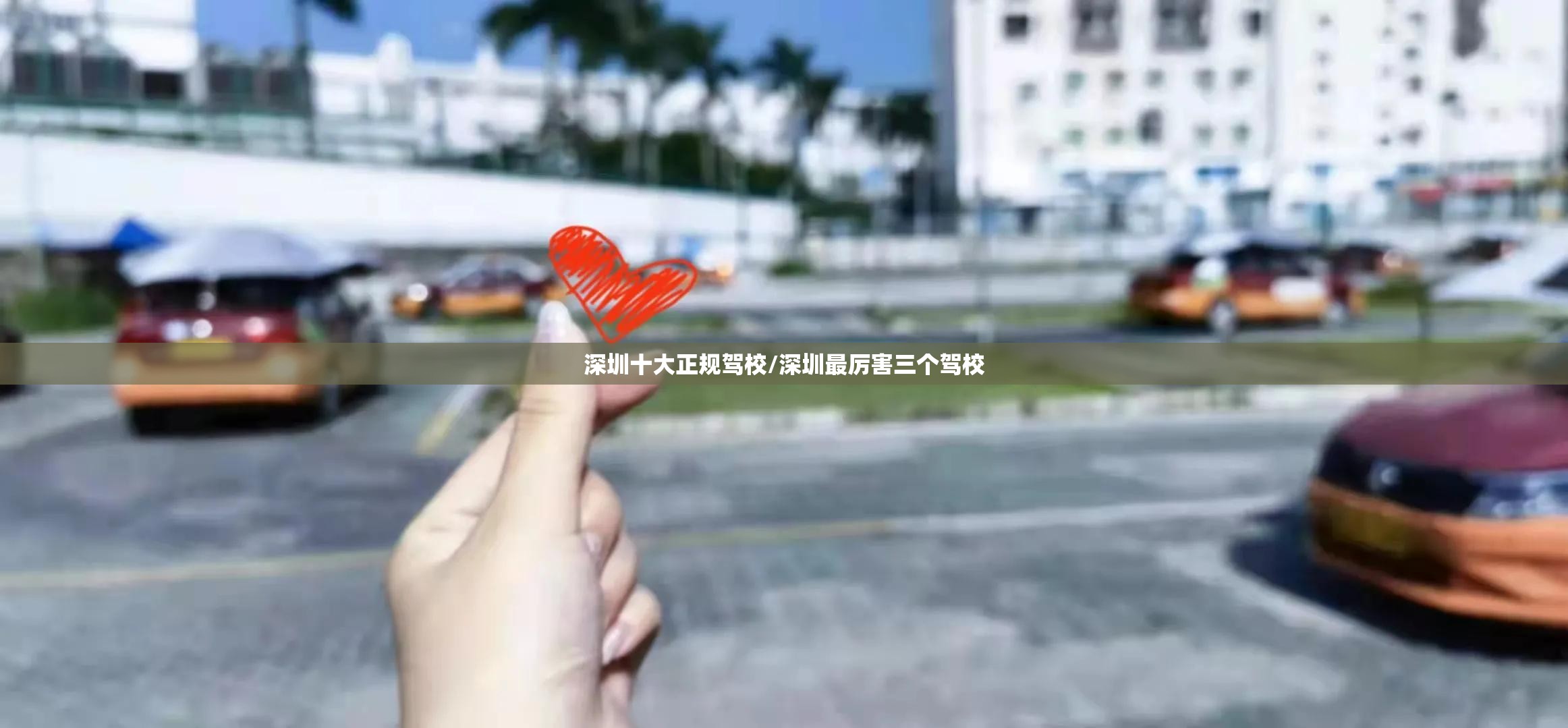 深圳十大正规驾校/深圳最厉害三个驾校