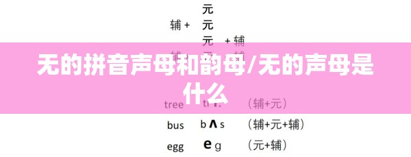 无的拼音声母和韵母/无的声母是什么