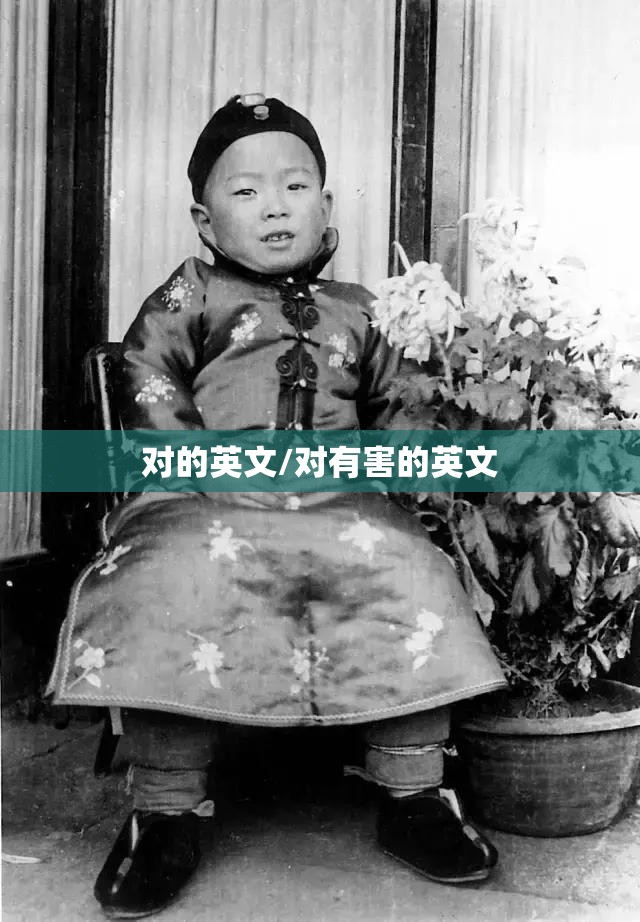 对的英文/对有害的英文
