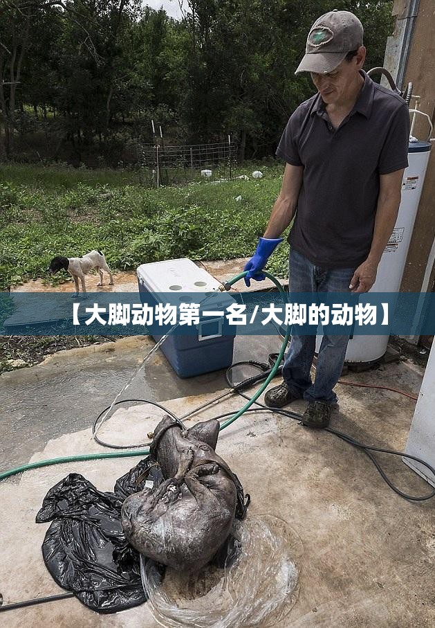 【大脚动物第一名/大脚的动物】