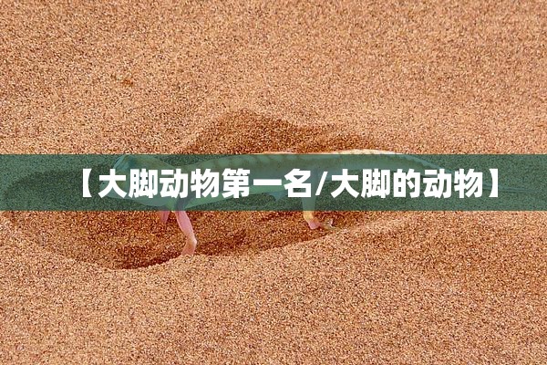 【大脚动物第一名/大脚的动物】