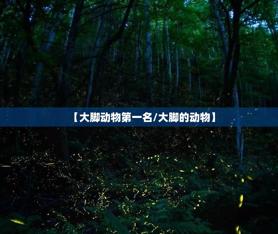 【大脚动物第一名/大脚的动物】