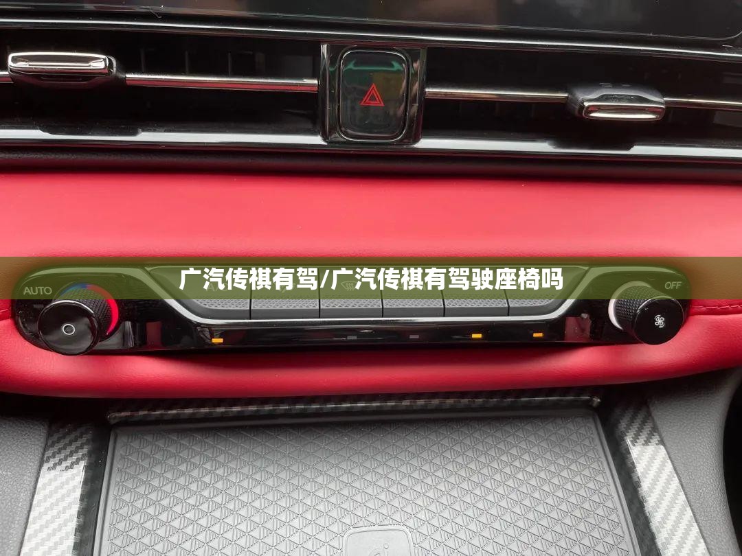 广汽传祺有驾/广汽传祺有驾驶座椅吗