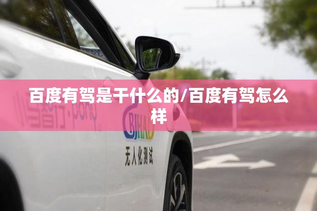 百度有驾是干什么的/百度有驾怎么样