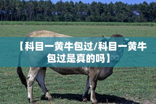 【科目一黄牛包过/科目一黄牛包过是真的吗】