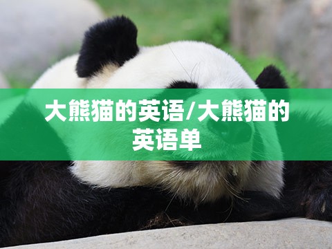 大熊猫的英语/大熊猫的英语单