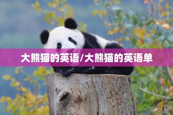 大熊猫的英语/大熊猫的英语单