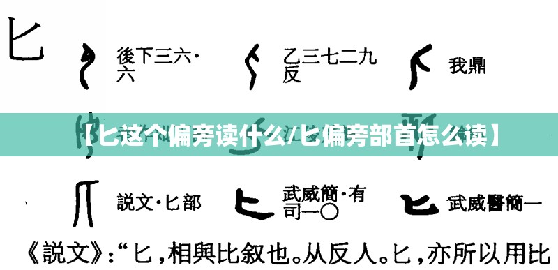 【匕这个偏旁读什么/匕偏旁部首怎么读】