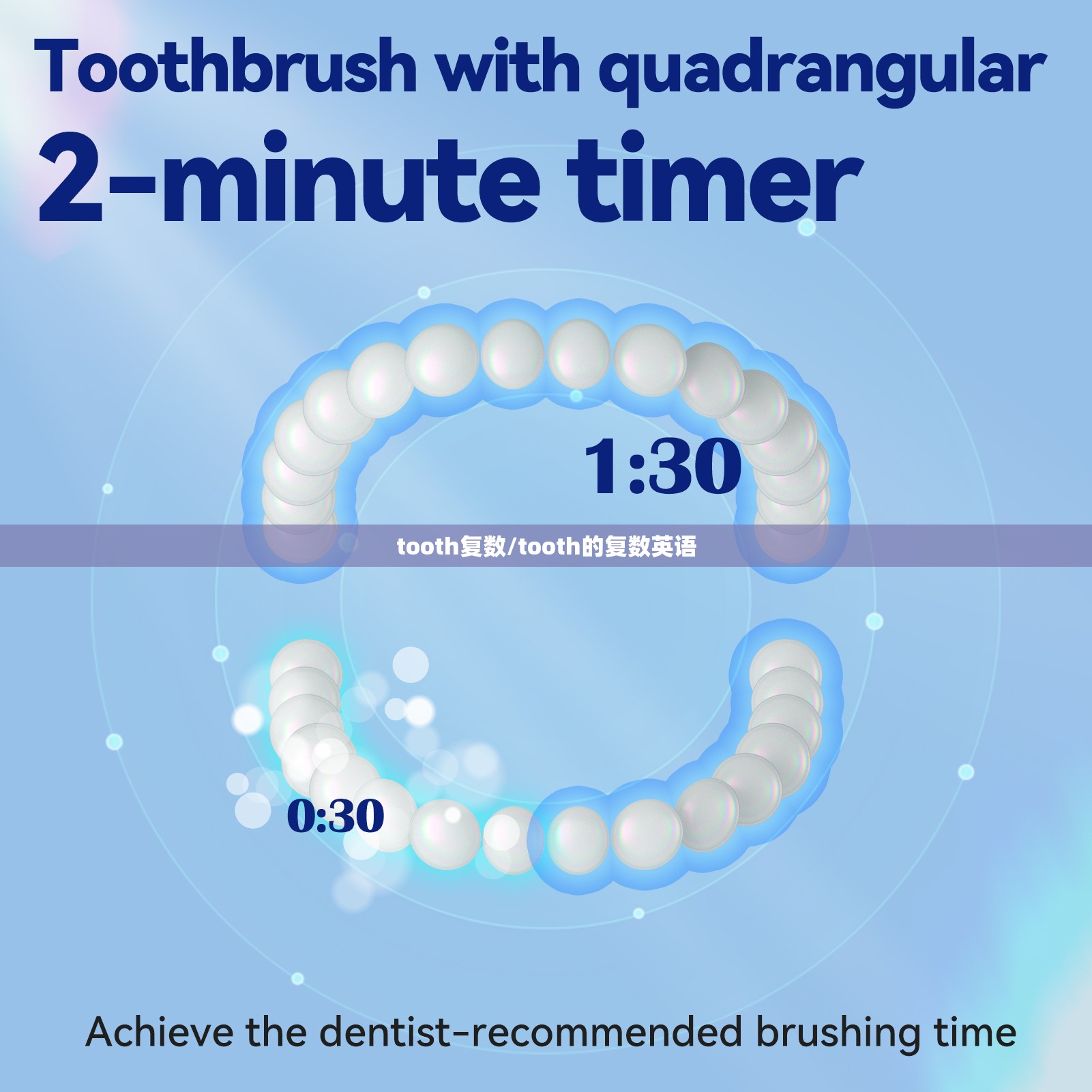 tooth复数/tooth的复数英语
