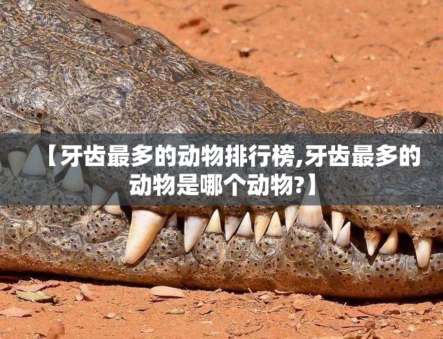 【牙齿最多的动物排行榜,牙齿最多的动物是哪个动物?】